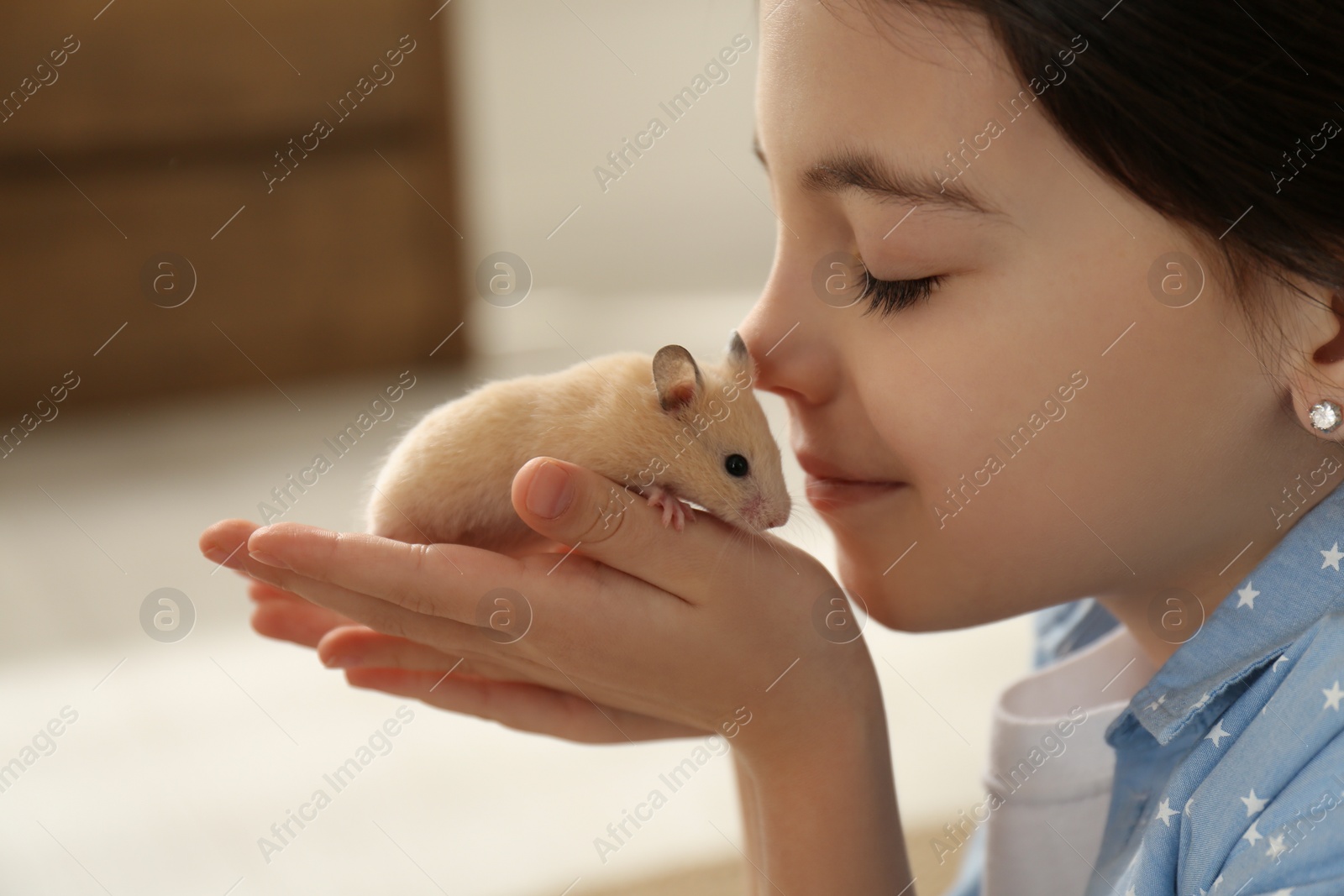 Photo of Little girl holding cute hamster at home, closeup