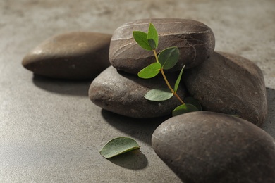 Spa stones with eucalyptus on color background