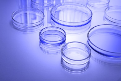 Petri dishes with liquid on table, toned in blue. Laboratory glassware