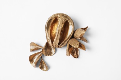 Photo of Shiny golden half of walnut and dry flowers on white background. Decor elements