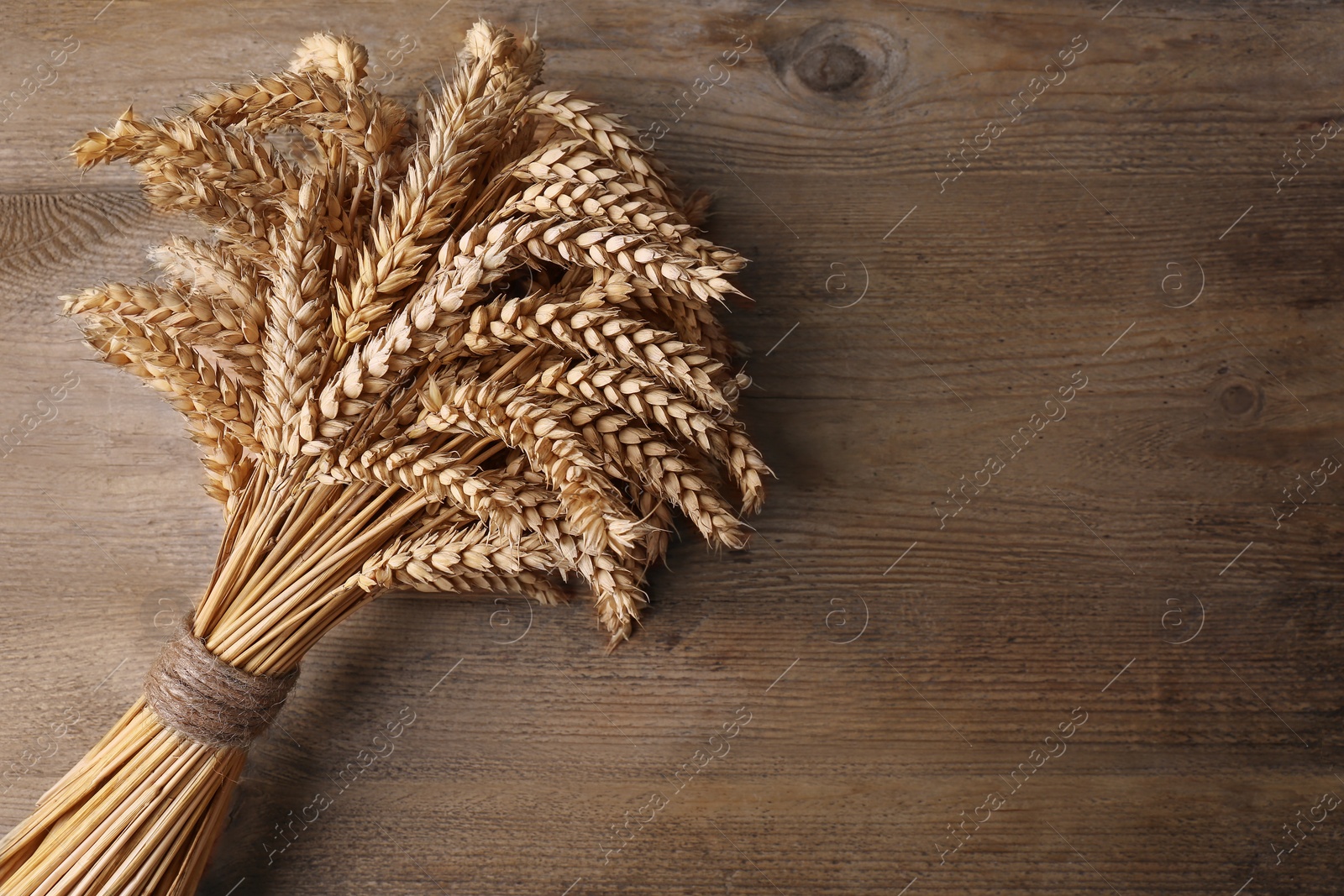 Photo of Bunch of dried wheat on wooden table, top view. Space for text