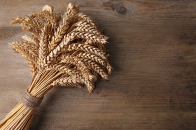 Photo of Bunch of dried wheat on wooden table, top view. Space for text