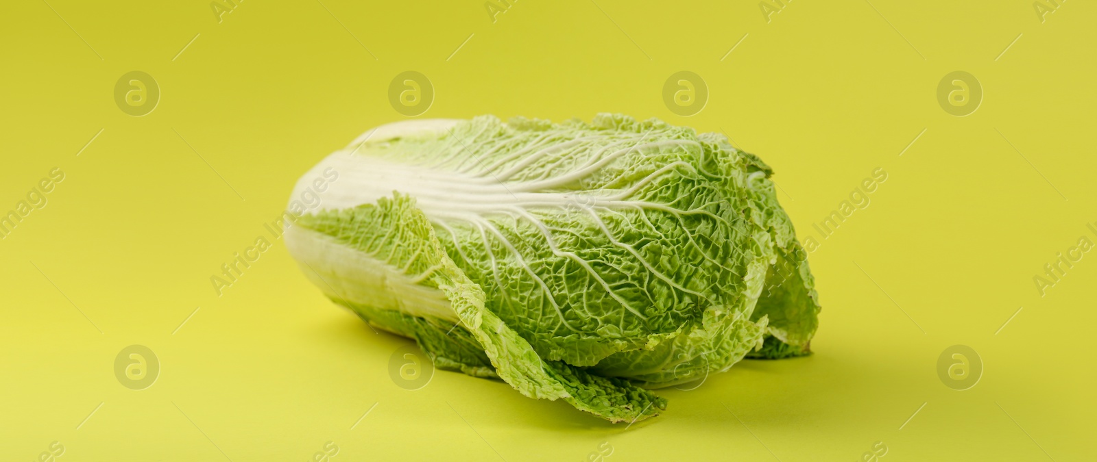 Image of Fresh ripe Chinese cabbage on light green background, banner design