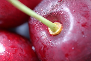 Photo of Fresh ripe cherries with water drops as background, macro view