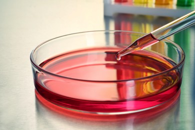 Dripping red sample into Petri dish with liquid on table, closeup
