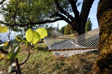 Comfortable net hammock outdoors on sunny day