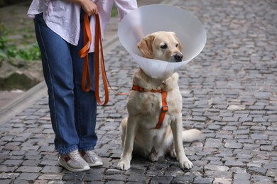 Photo of Woman walking her adorable Labrador Retriever dog in Elizabethan collar outdoors, closeup