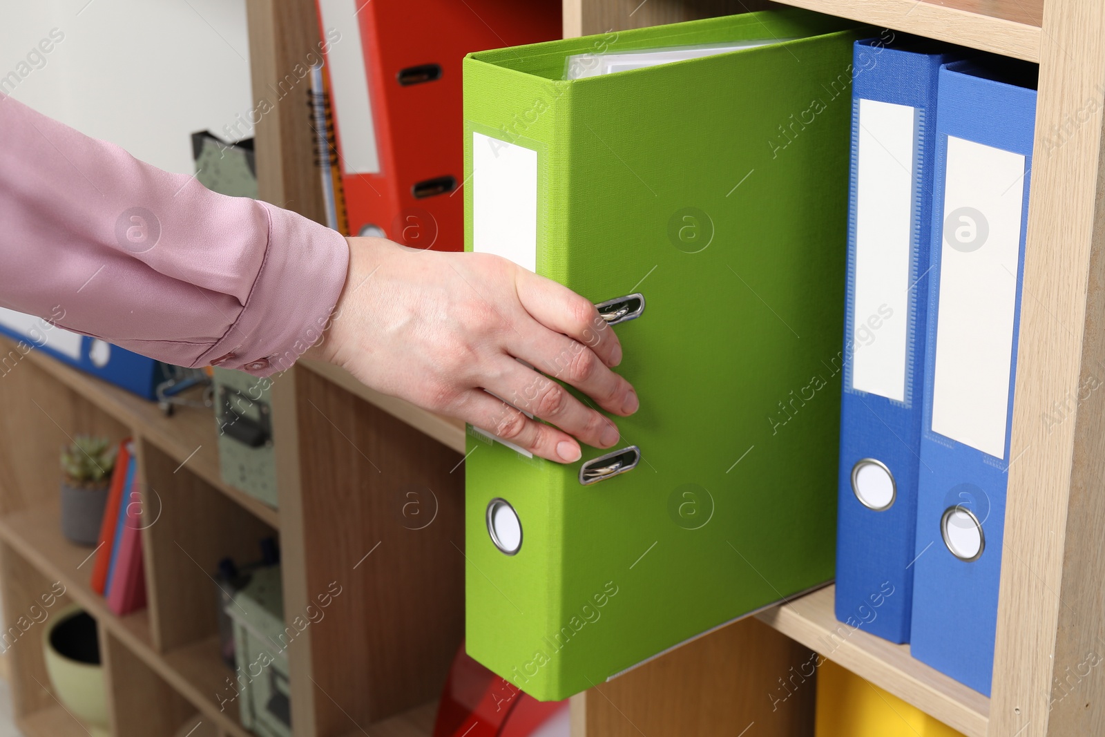 Photo of Woman taking binder office folder from shelving unit indoors, closeup