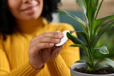 Photo of Closeuphappy woman wiping leaf of beautiful potted houseplant indoors