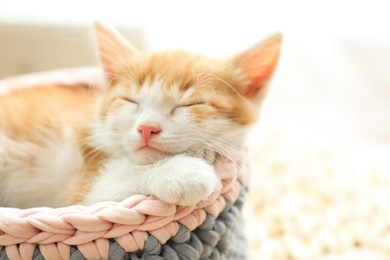 Photo of Cute little red kitten sleeping in knitted basket at home