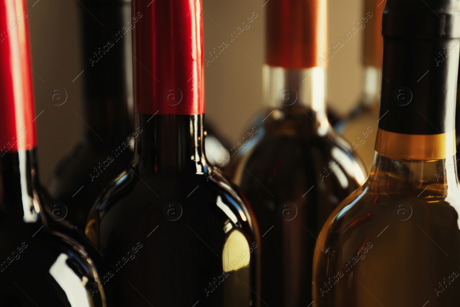 Photo of Bottles with delicious wine, closeup. Professional sommelier