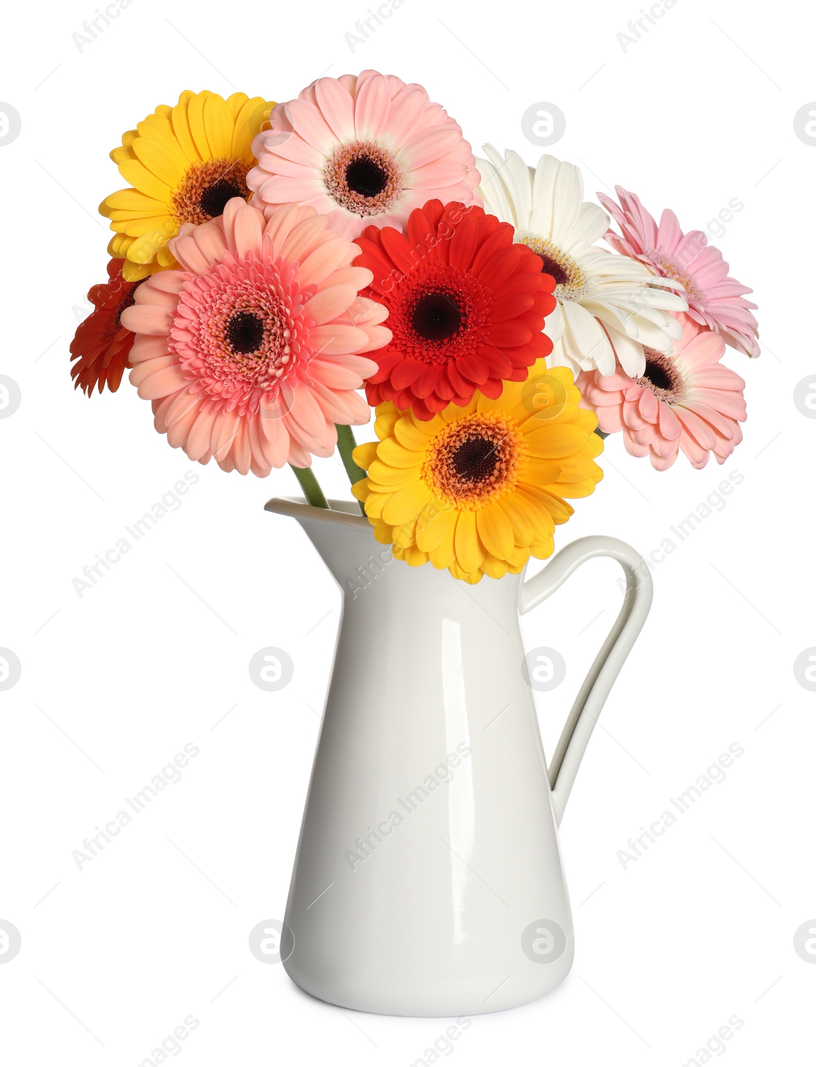 Photo of Bouquet of beautiful colorful gerbera flowers in vase isolated on white