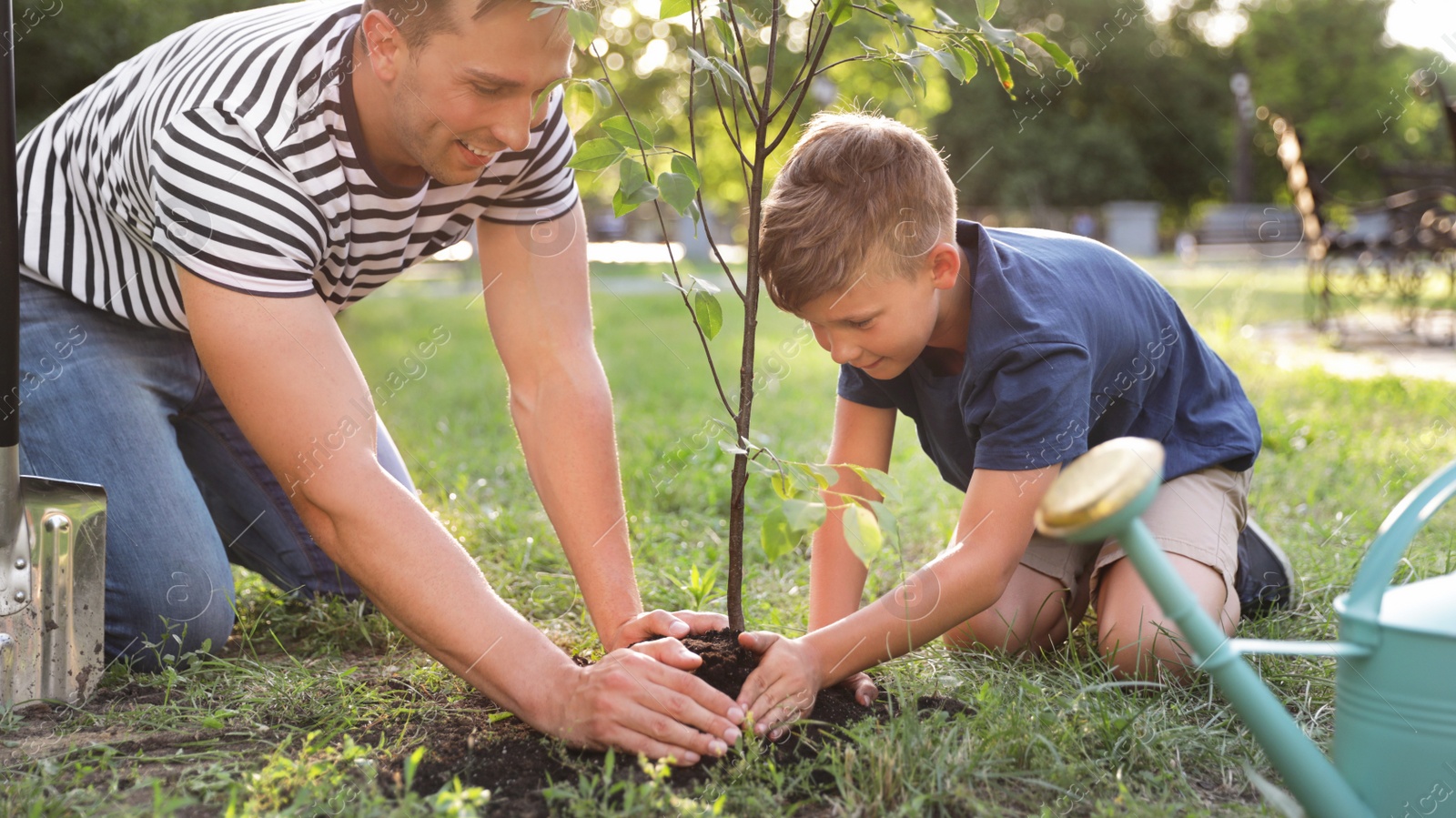 Photo of Dad and son planting tree in park on sunny day