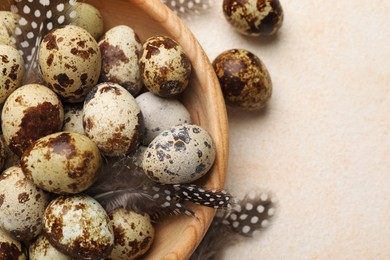 Photo of Speckled quail eggs and feathers on beige background, above view. Space for text