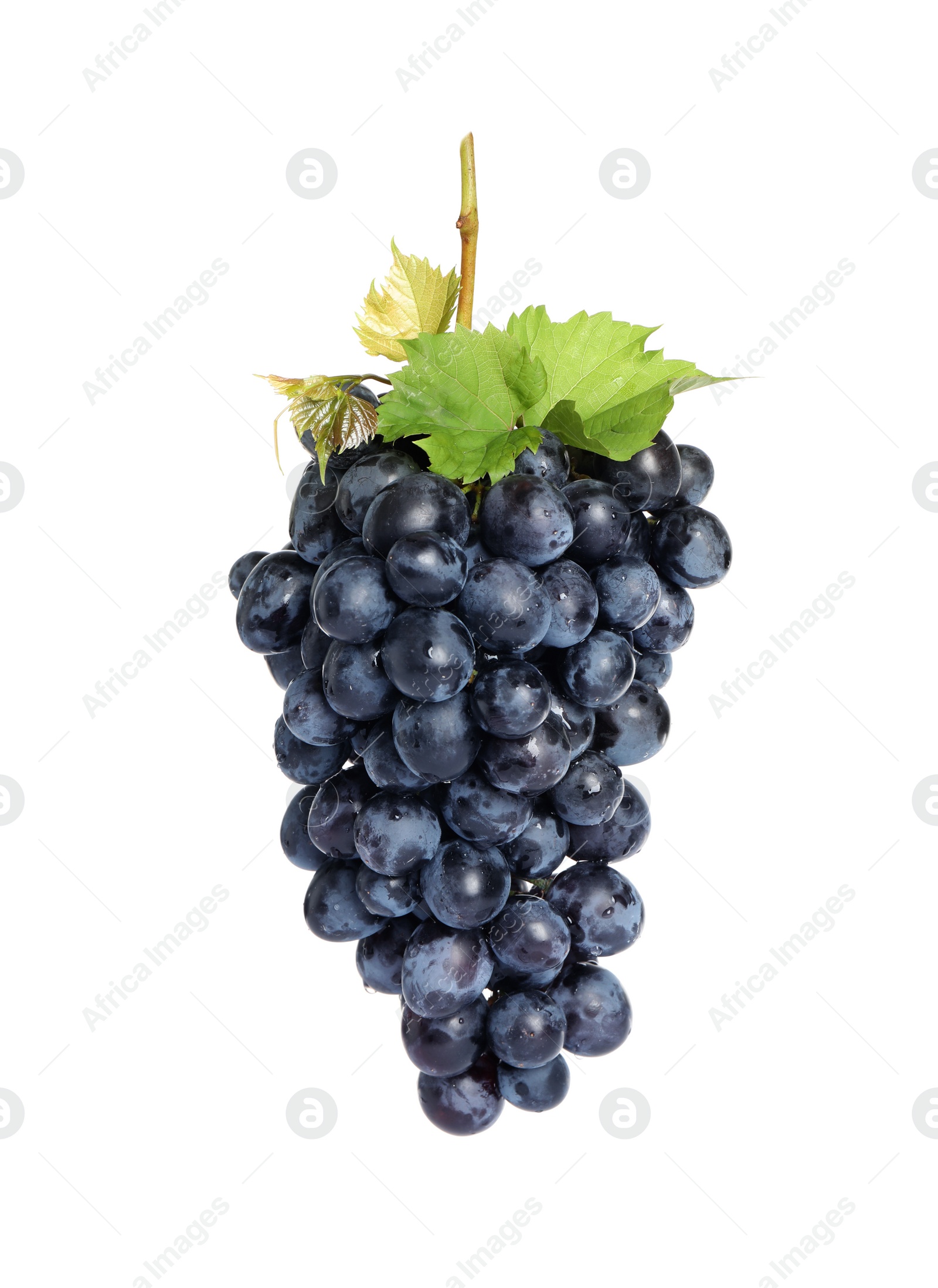 Photo of Bunch of fresh ripe juicy grapes isolated on white