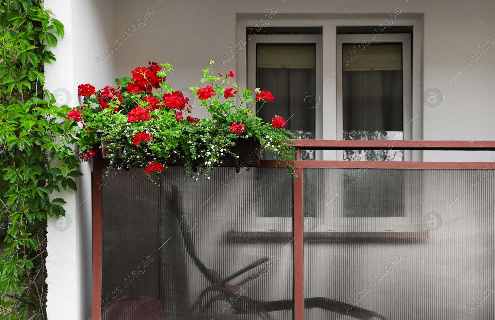 Photo of Balcony decorated with beautiful blooming potted flowers