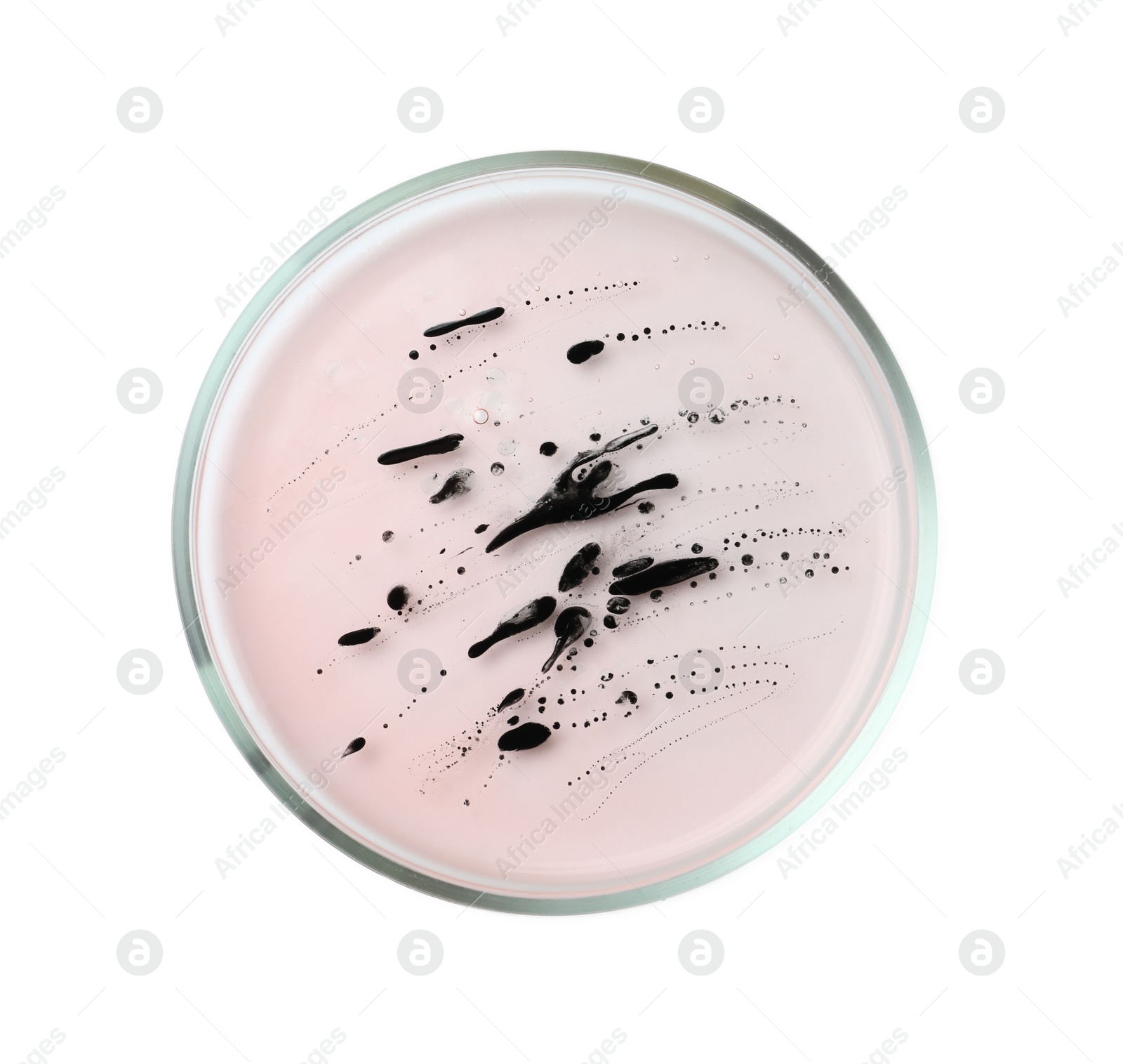 Photo of Petri dish with bacteria on white background, top view