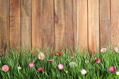 Photo of Vibrant green grass with beautiful flowers against wooden background, space for text