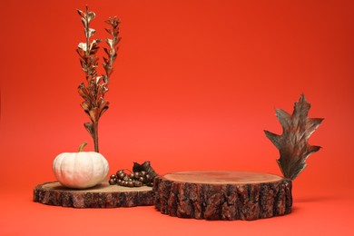 Photo of Autumn presentation for product. Wooden stumps, pumpkin, golden leaves and berries on red background, space for text