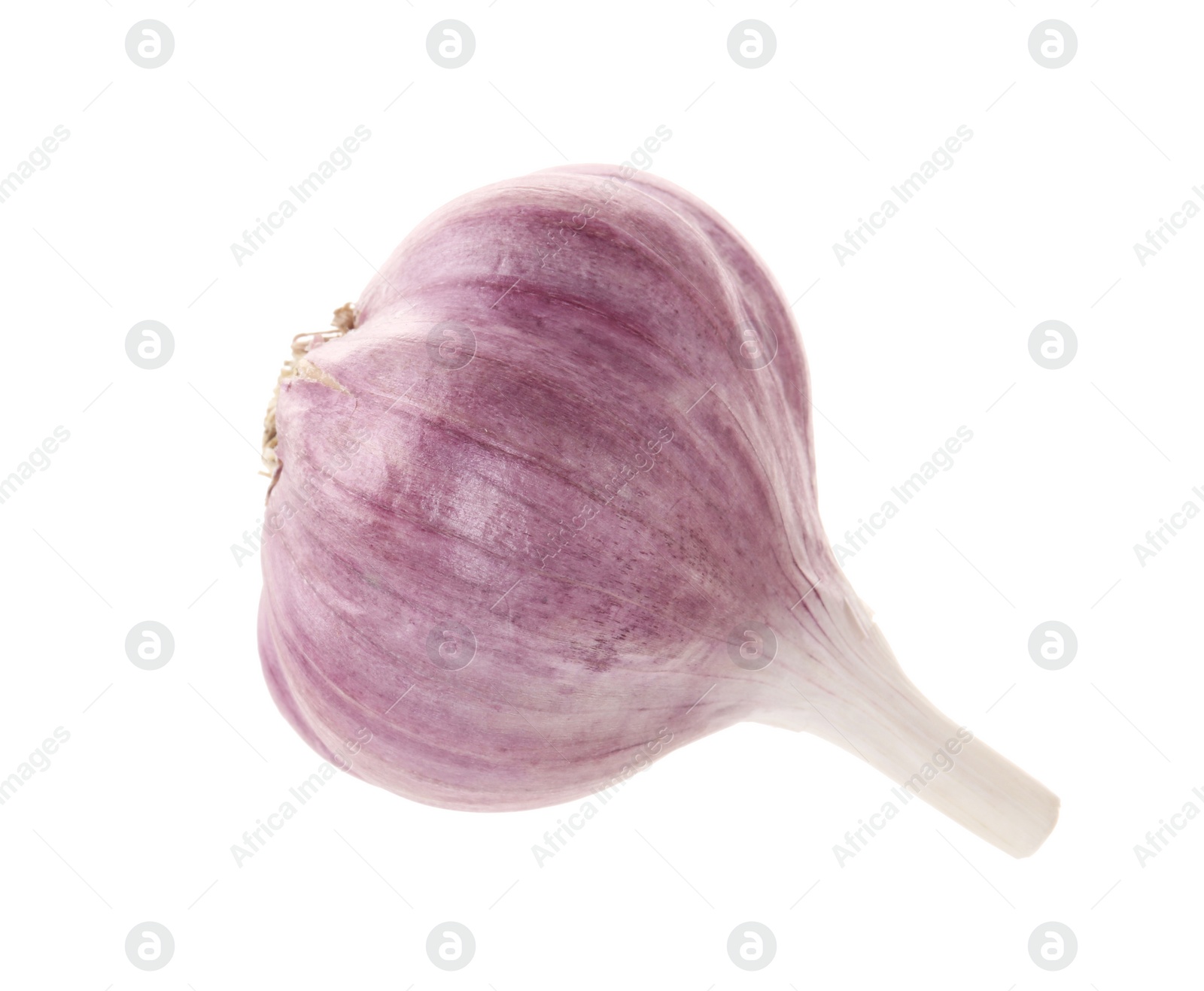 Photo of Unpeeled head of fresh garlic isolated on white