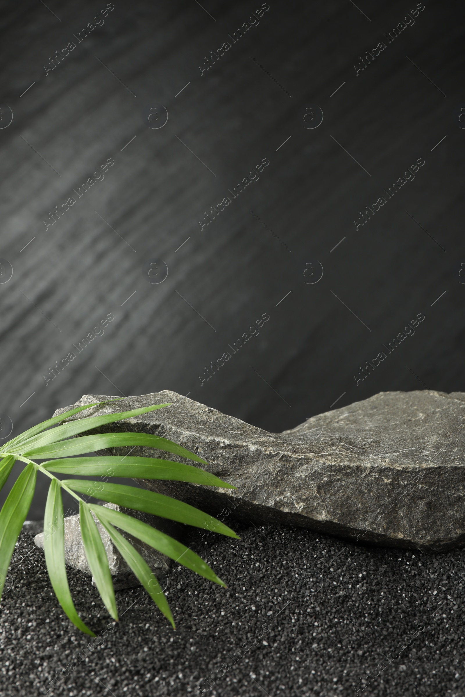 Photo of Presentation of product. Stone podium and palm leaves on black sand against dark textured background. Space for text