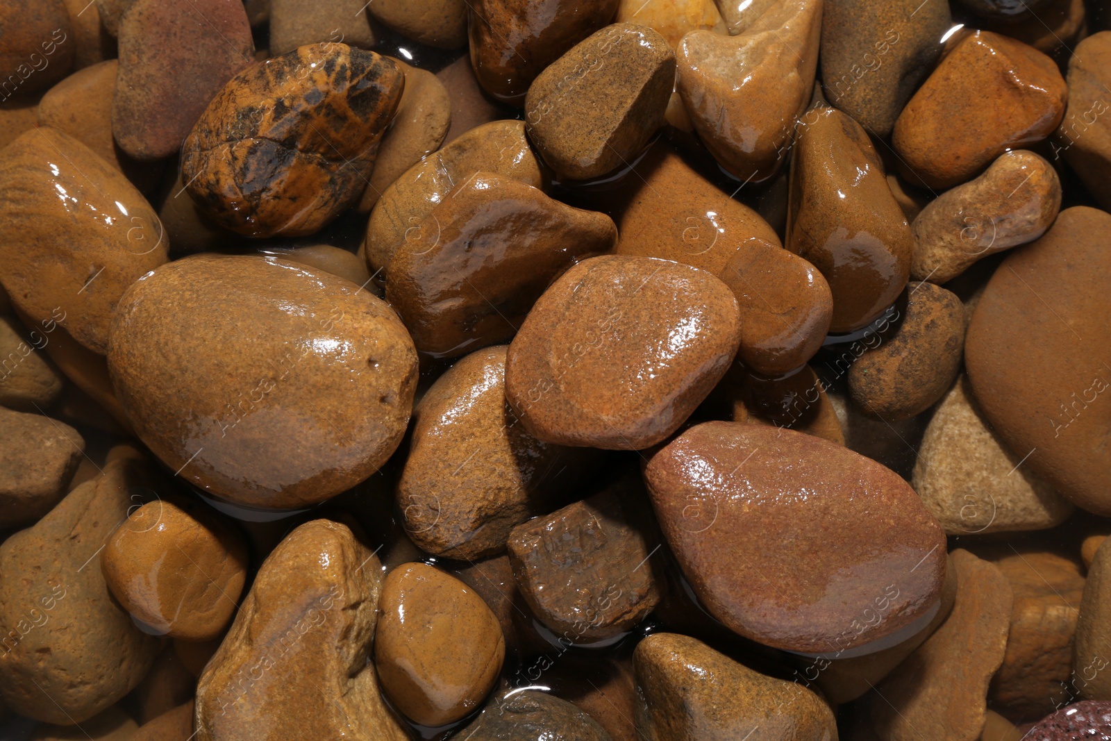 Photo of Beautiful pebbles in water as background, top view