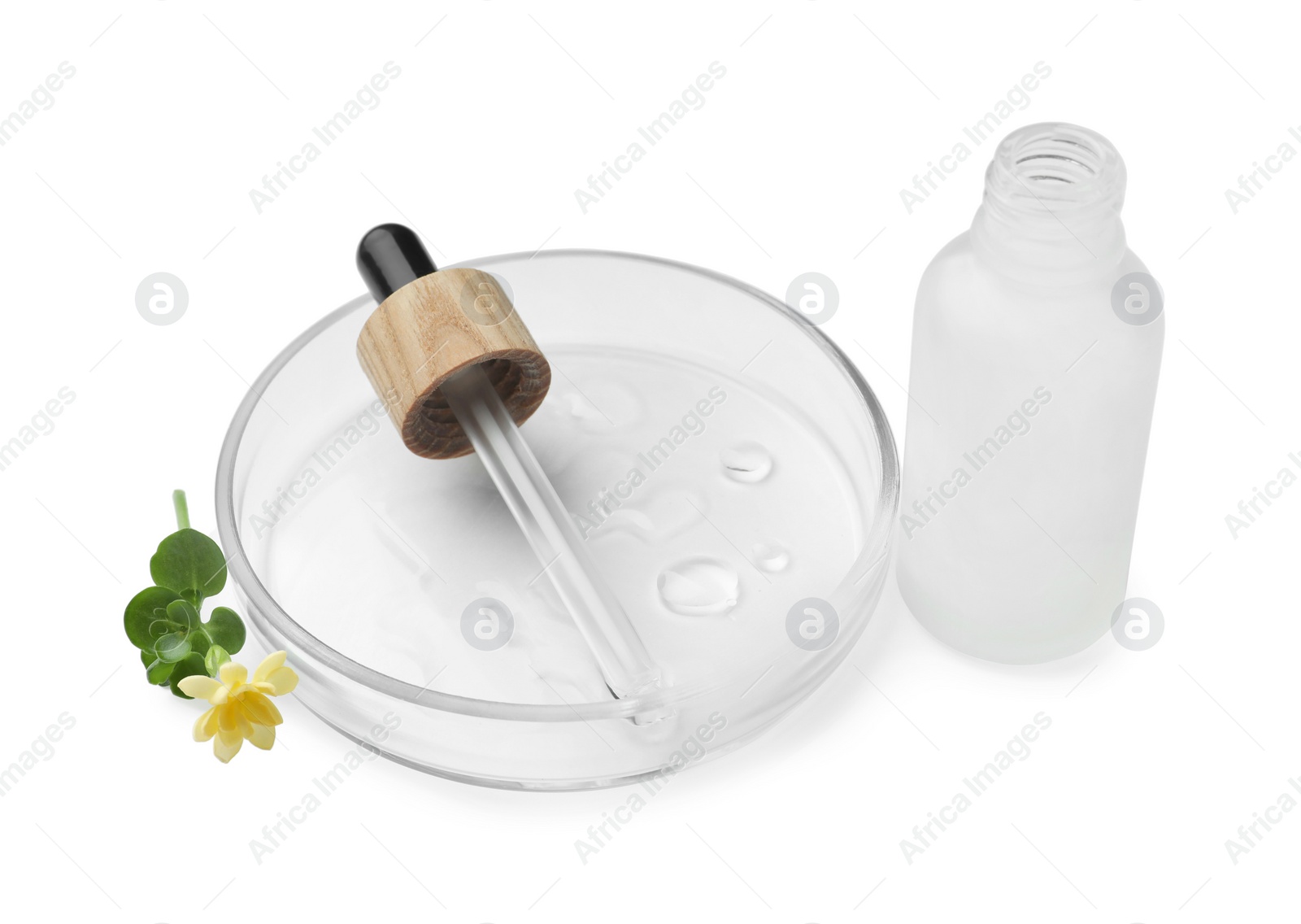 Photo of Petri dish with cosmetic product and flower on white background