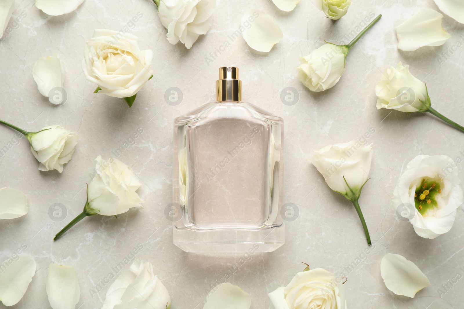 Photo of Flat lay composition of bottle with perfume and flowers on light grey marble background