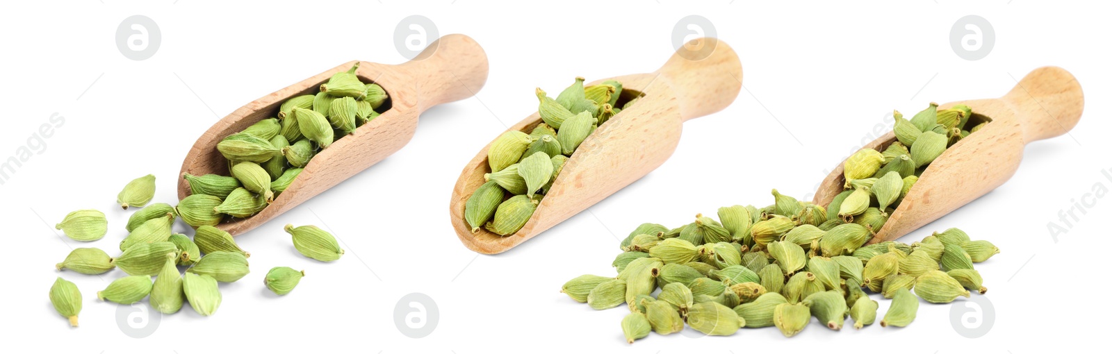 Image of Set with cardamom seeds on white background. Banner design