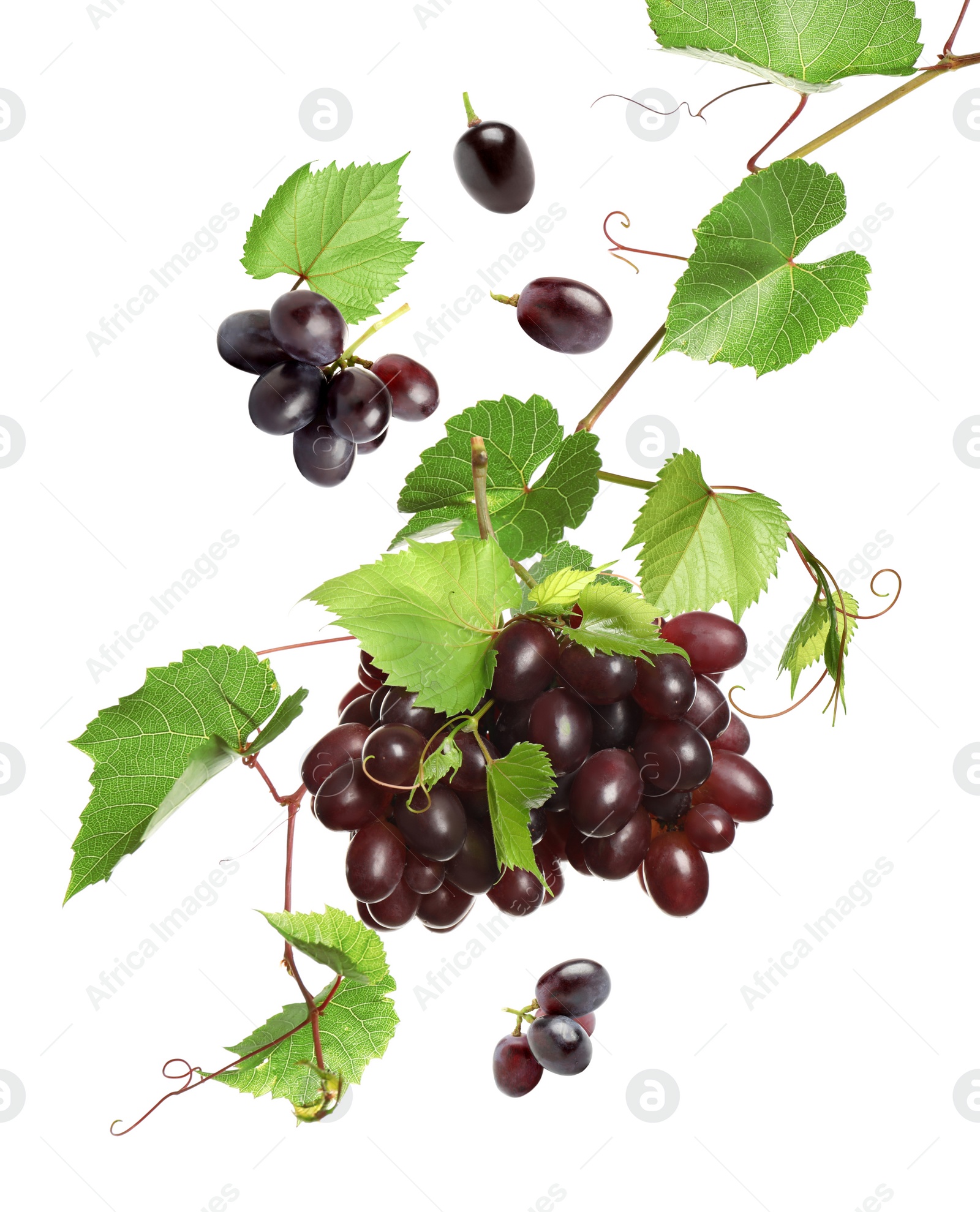 Image of Fresh ripe grapes with green leaves falling on white background