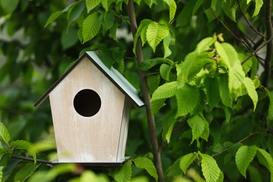 Wooden bird house on tree branch outdoors. Space for text