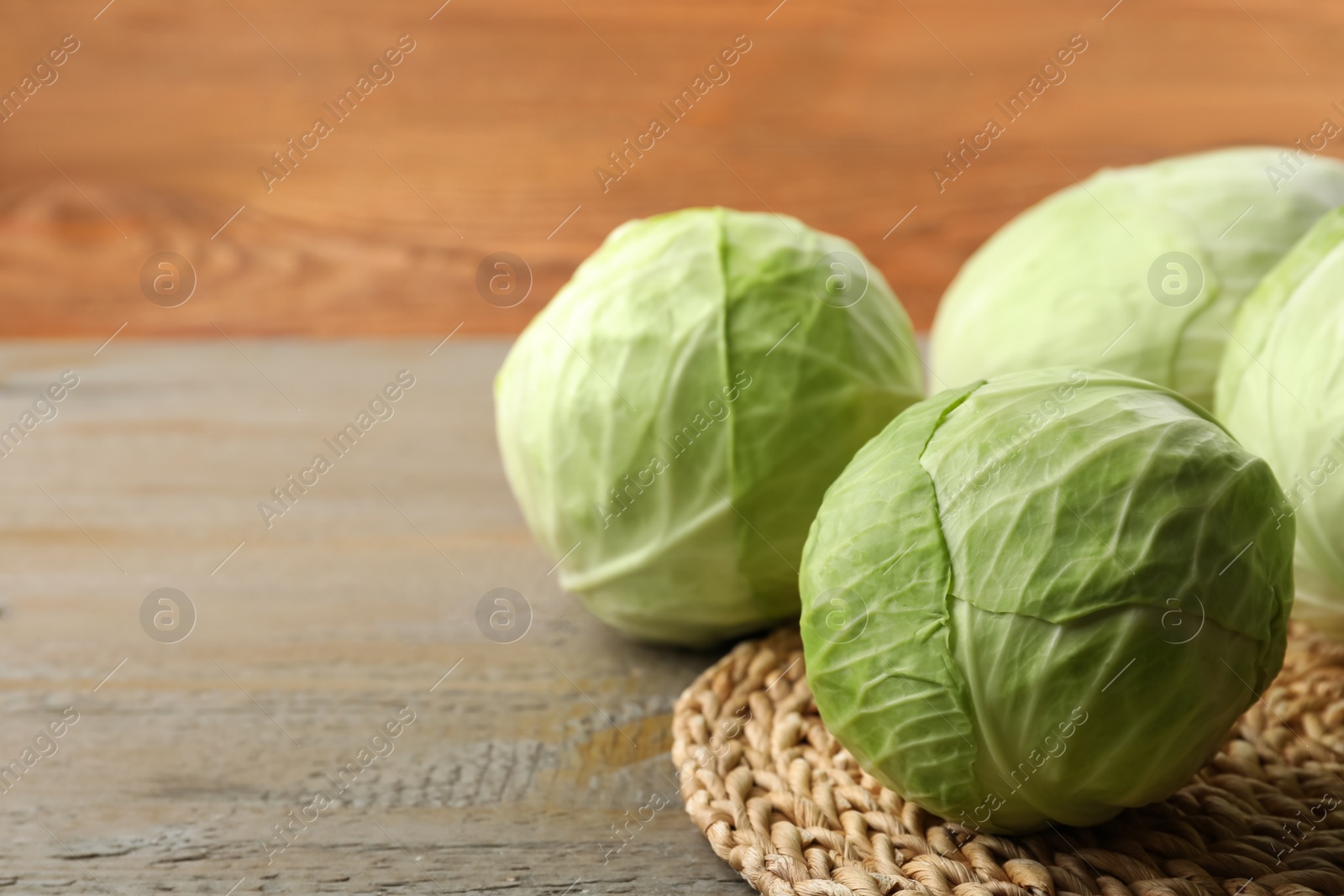 Photo of Ripe white cabbage on wooden table. Space for text