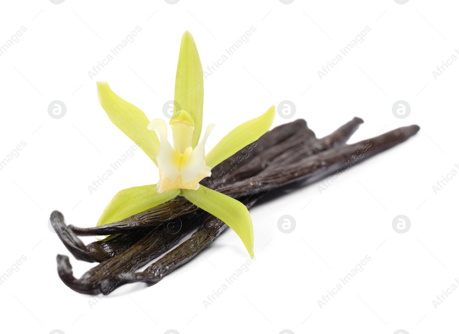 Photo of Vanilla pods and beautiful flower isolated on white