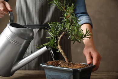 Photo of Woman watering Japanese bonsai plant, closeup. Creating zen atmosphere at home