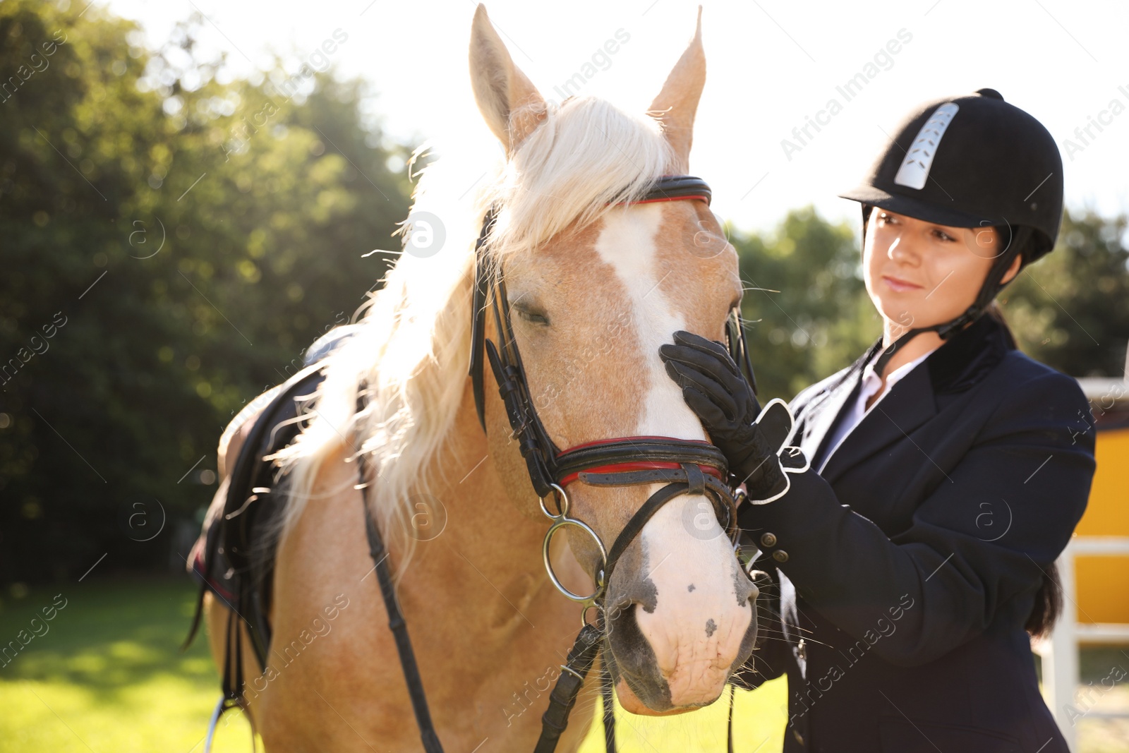 Photo of Young woman in horse riding suit and her beautiful pet outdoors on sunny day