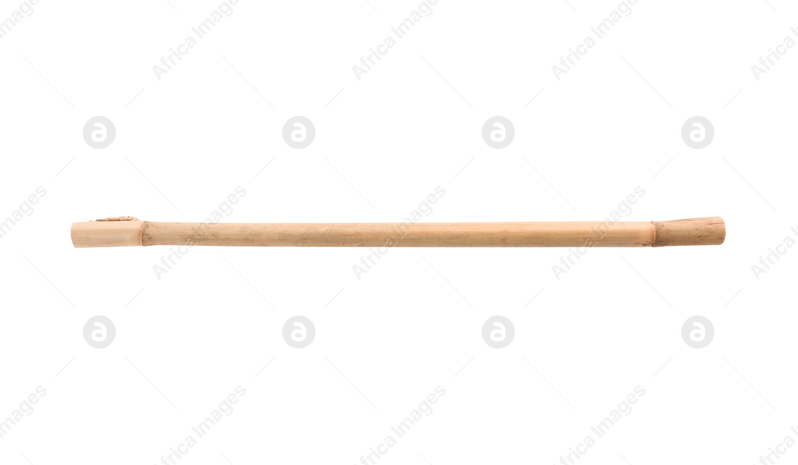 Photo of Dry bamboo stick on white background
