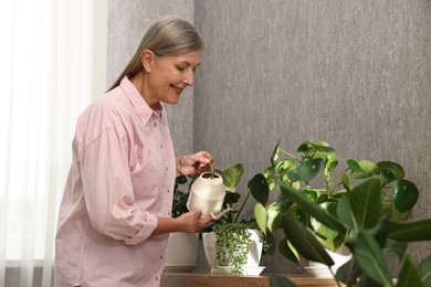 Happy housewife watering green houseplants at home