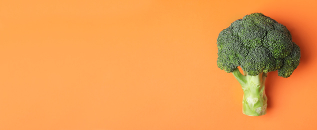 Image of Top view of fresh green broccoli on orange background, space for text. Banner design 