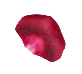 Photo of Red rose flower petal on white background