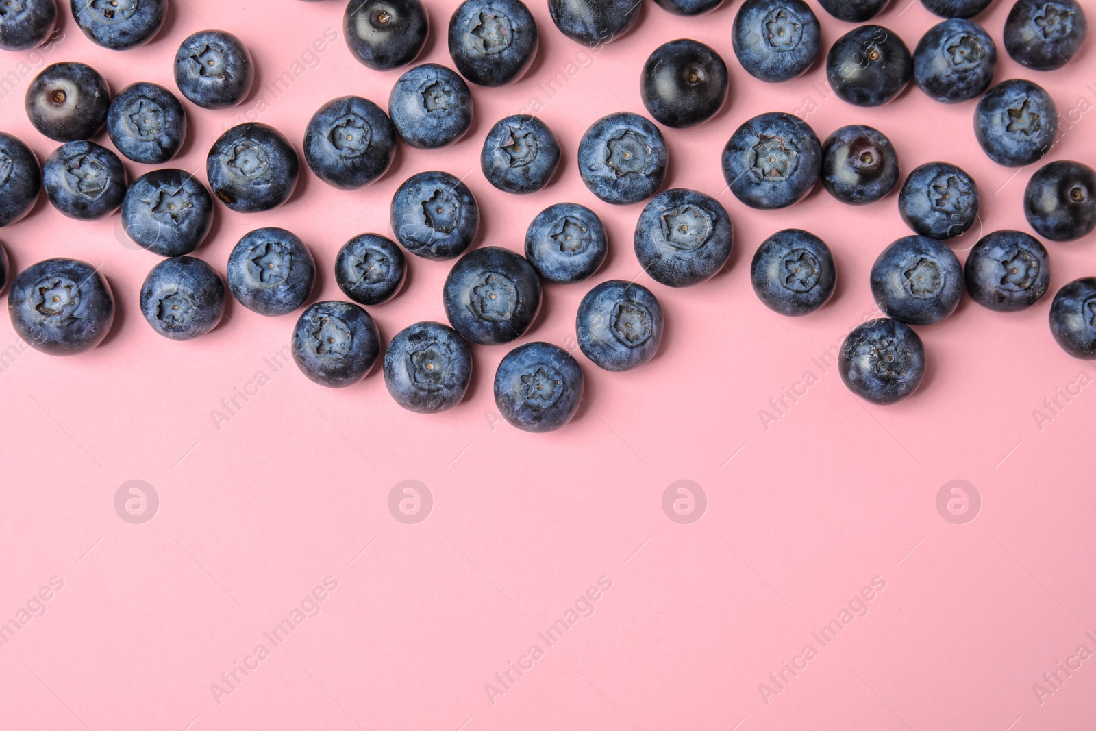 Photo of Tasty ripe blueberries on pink background, flat lay with space for text