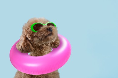 Image of Cute Maltipoo dog with stylish sunglasses and swim ring on light blue background. Space for text