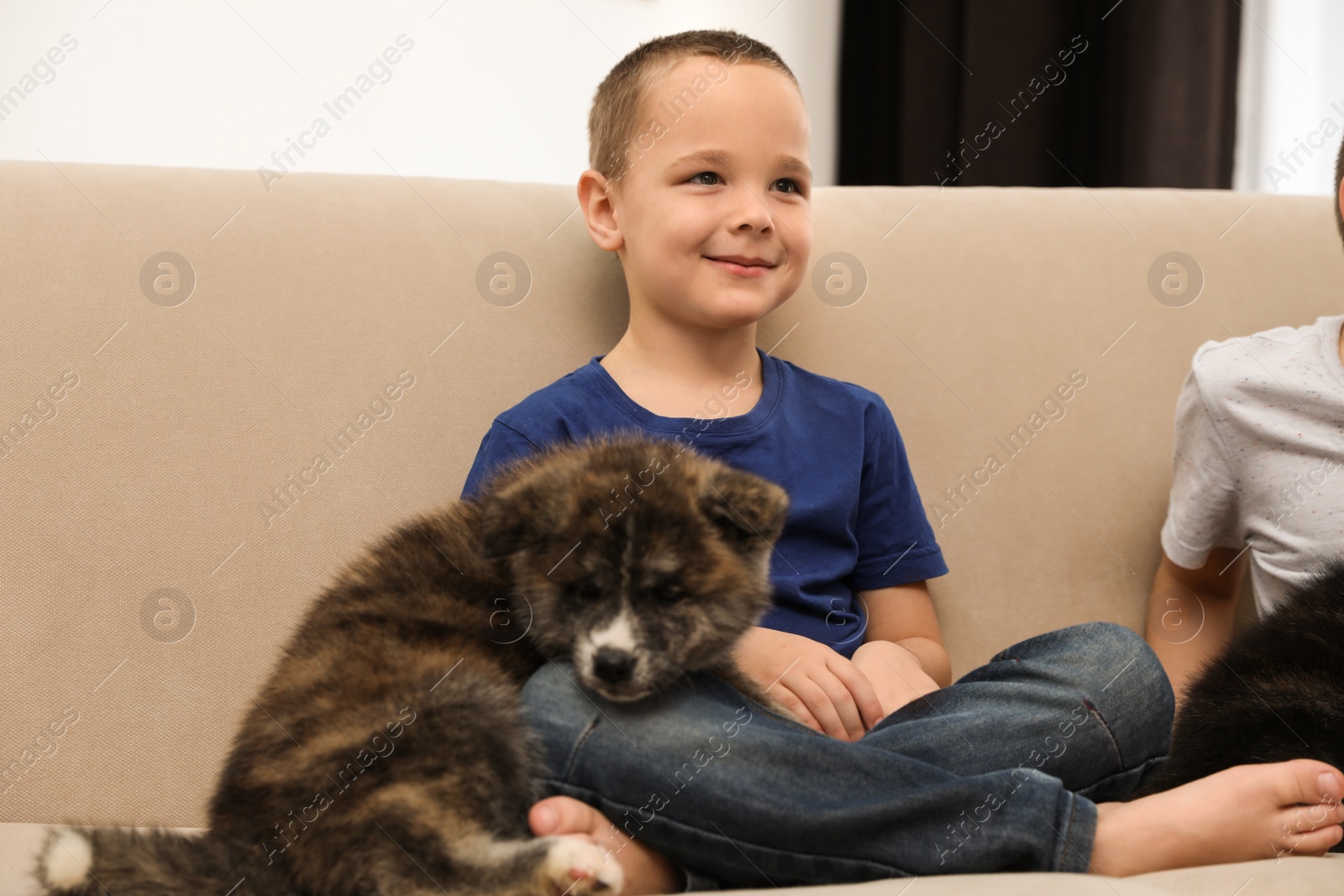 Photo of Little boy with Akita inu puppy on sofa at home. Friendly dog