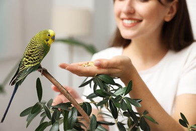 Woman feeding bright parrot indoors, closeup. Exotic pet