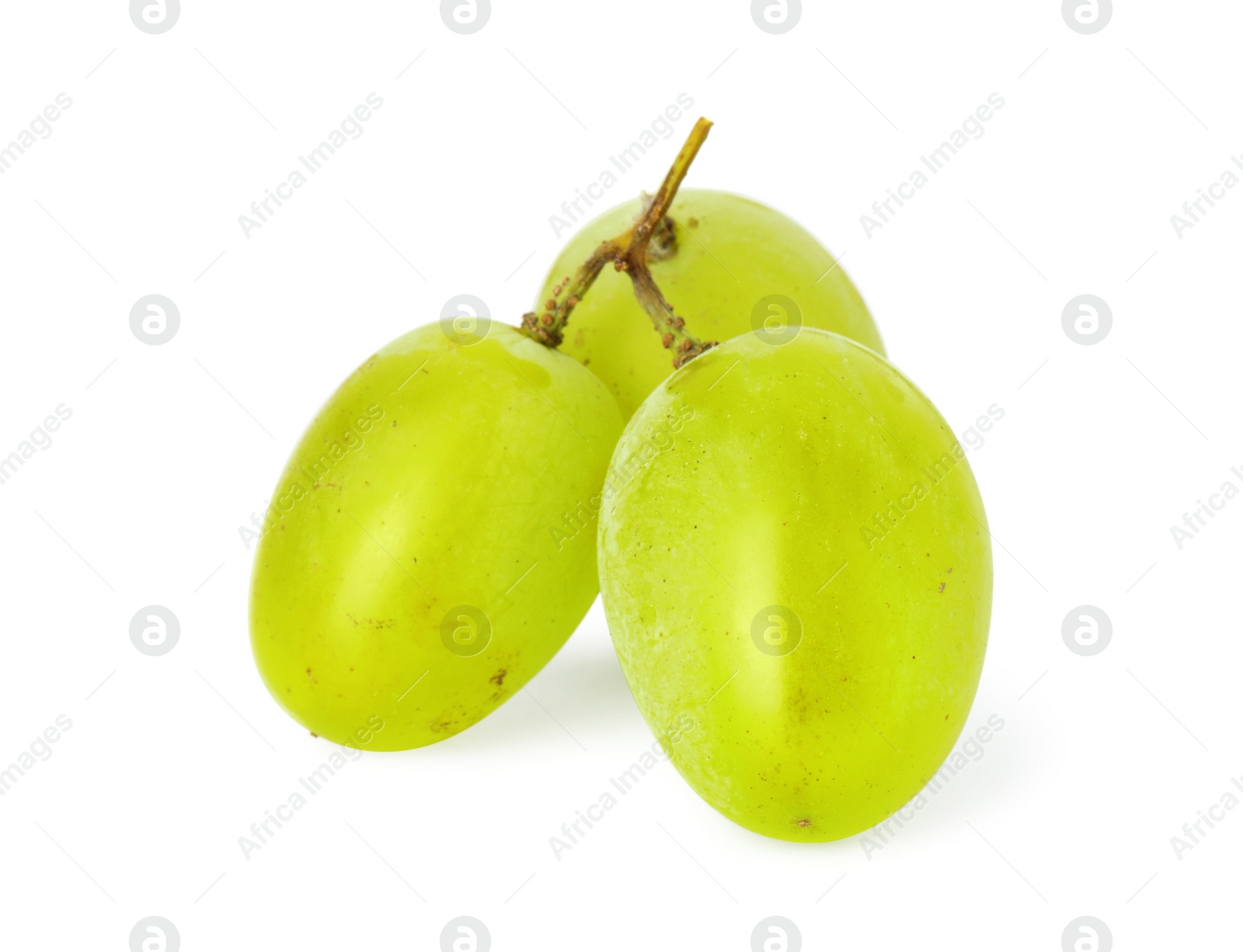 Photo of Delicious ripe green grapes isolated on white