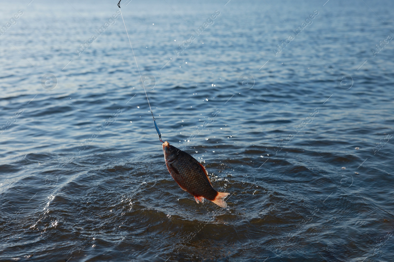 Photo of Catching fish on hook in river. Fishing day