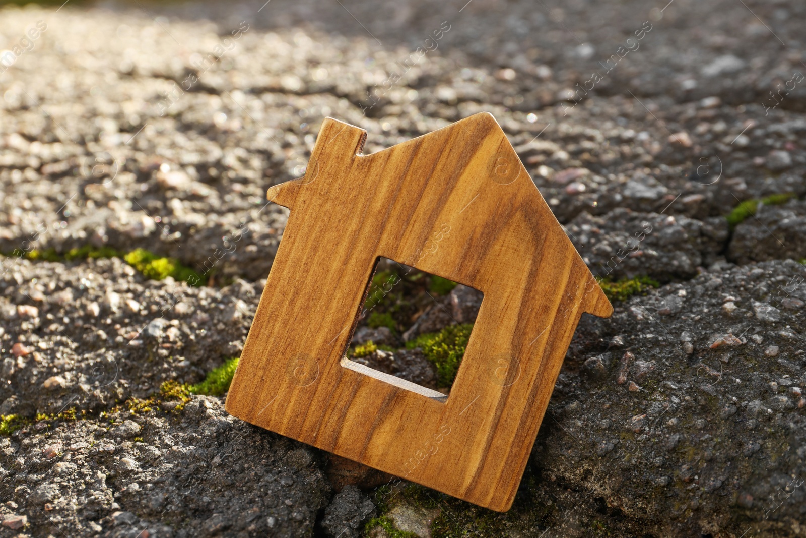 Photo of Wooden house model in cracked asphalt. Earthquake disaster