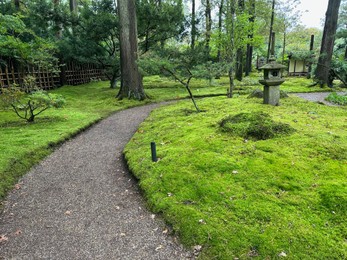 Photo of Bright moss, different plants, stone lantern and pathway in Japanese garden