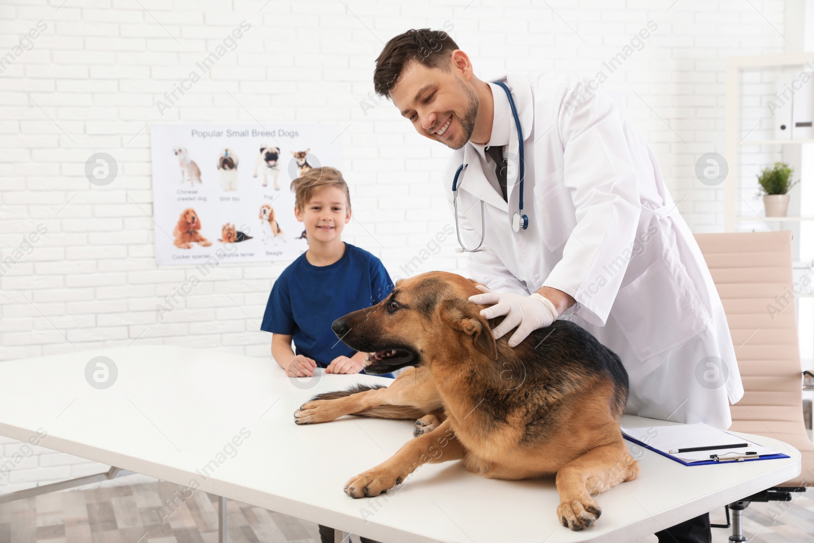 Photo of Boy with his pet visiting veterinarian in clinic. Doc examining dog