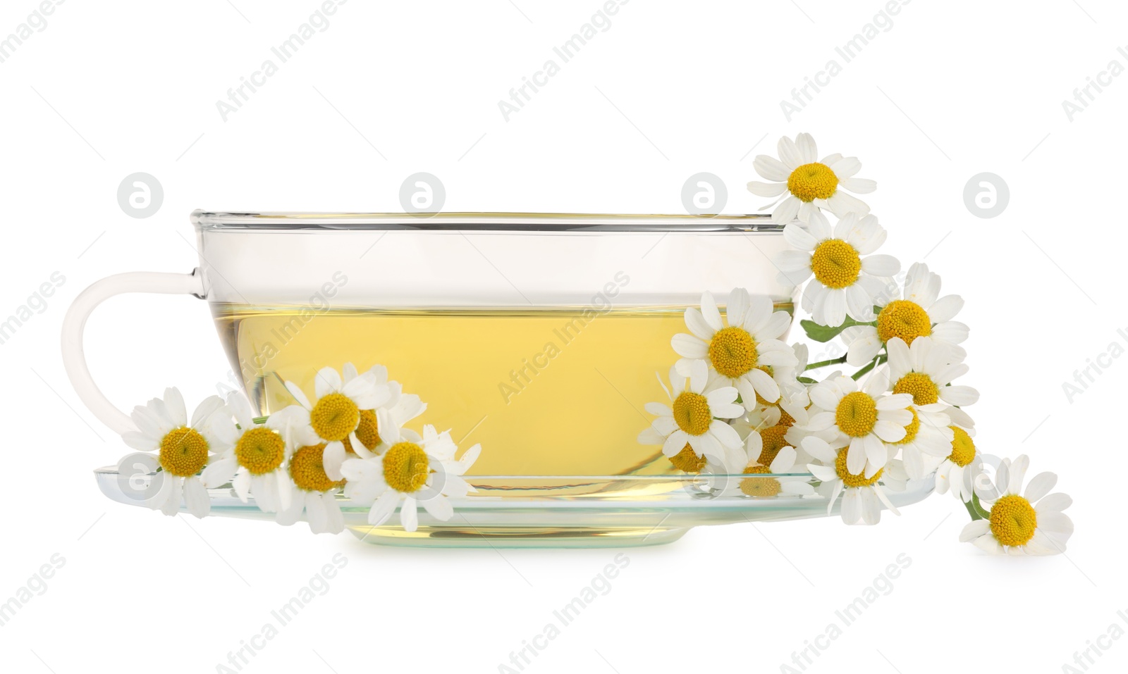 Photo of Aromatic herbal tea in glass cup and chamomiles isolated on white