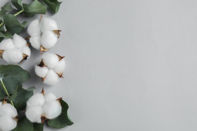 Cotton flowers and eucalyptus leaves on light grey background, flat lay. Space for text